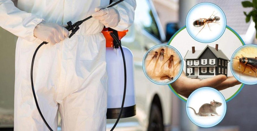 Başçiftlik Böcek İlaçlama