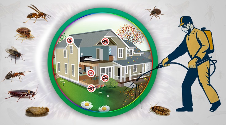 Başçiftlik Böcek İlaçlama