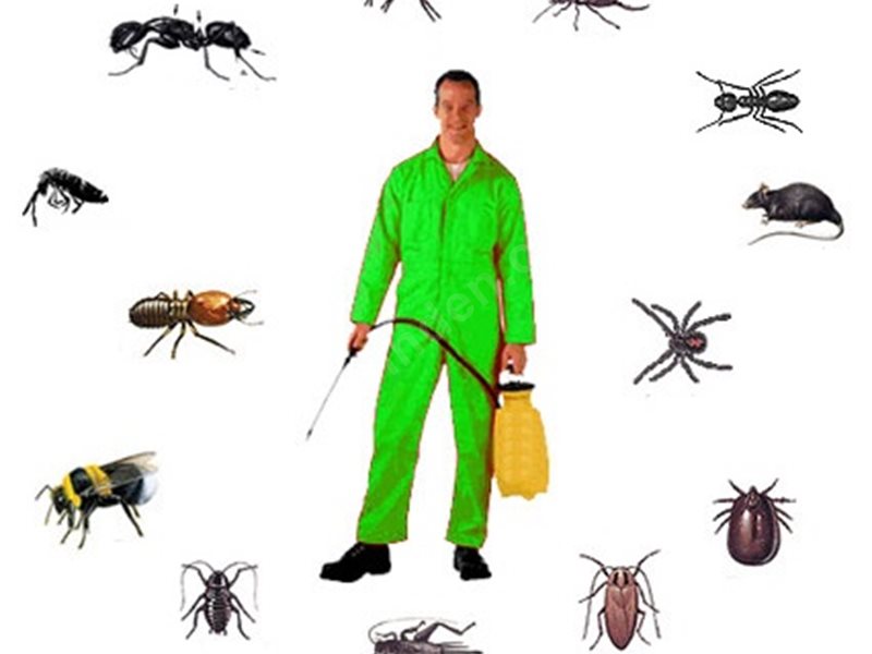 Başçiftlik Böcek İlaçlama